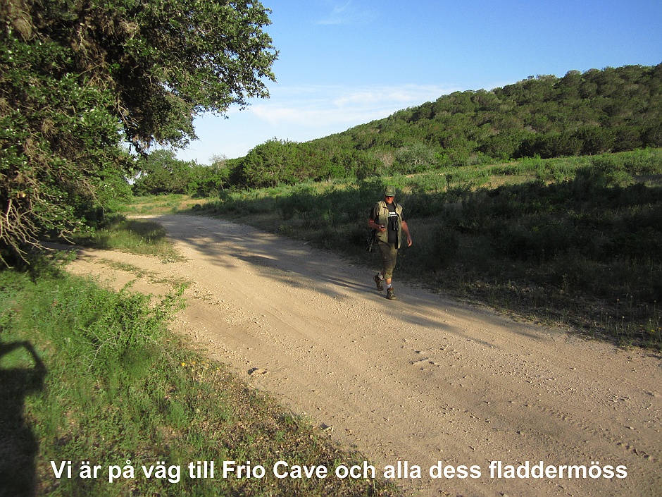 På väg mot Frio Cave
